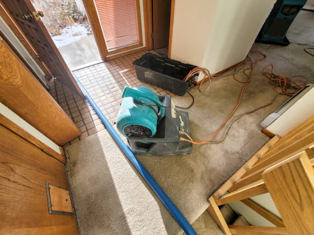 Best Sewage cleanup and water damage restoration  in Aquia Harbour, VA